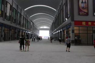 小池 國(guó)際 農(nóng)產(chǎn)品物流港打造 新九黃干調(diào)副食大市場(chǎng)